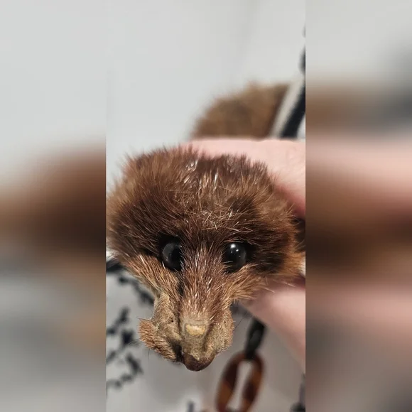 Vintage Mink Fur Whole Body Pelt Stole Collar Wrap Neck Shrug Clip Brown 30" - Picture 10 of 16